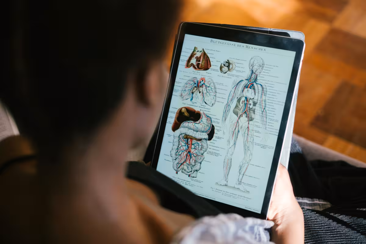 pexels-rethaferguson-3059750 Tecnologias Digitais e Inovação na Educação