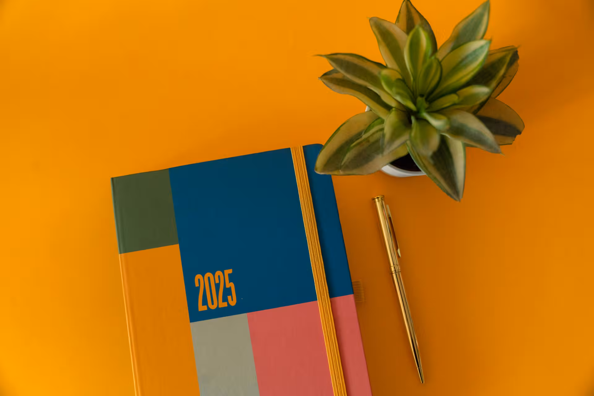 pexels-viridianaor-29996984 Dicas de Planejamento para o Novo Ano
